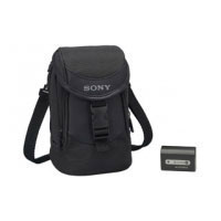 Sony Case LCS-VAC + battery NP-FH50 (ACC-FH50)